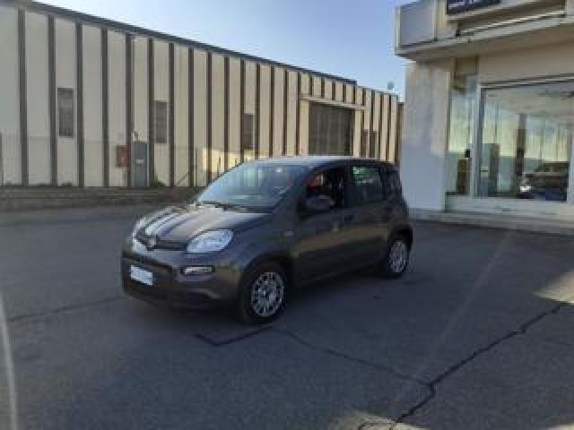 Fiat Panda Promo Ritiro Fino Euro 5 1.0 Firefly S&s Hybrid 