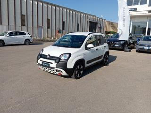 Fiat Panda Cross *promo* 1.0 Firefly S&s Hybrid 