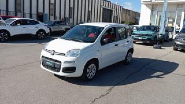 Fiat Panda *promo* 1.2 Pop 69cv 
