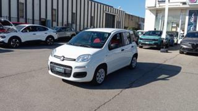 Fiat Panda *promo* 1.2 Pop 69cv 