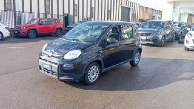 Fiat Panda *promo* 1.0 Firefly S&s Hybrid 
