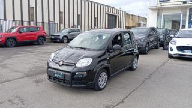Fiat Panda *promo* 1.0 Firefly S&s Hybrid 