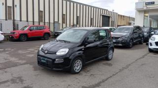 Fiat Panda *promo* 1.0 Firefly S&s Hybrid 