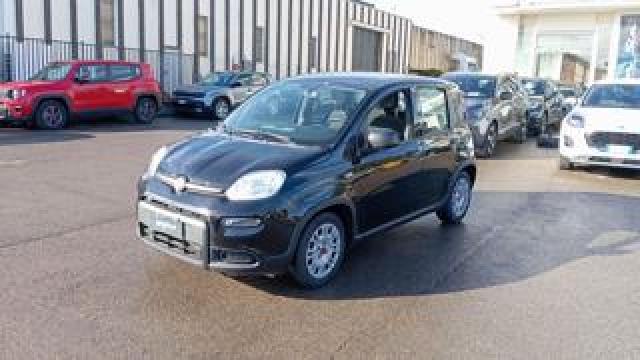 Fiat Panda *promo* 1.0 Firefly S&s Hybrid 
