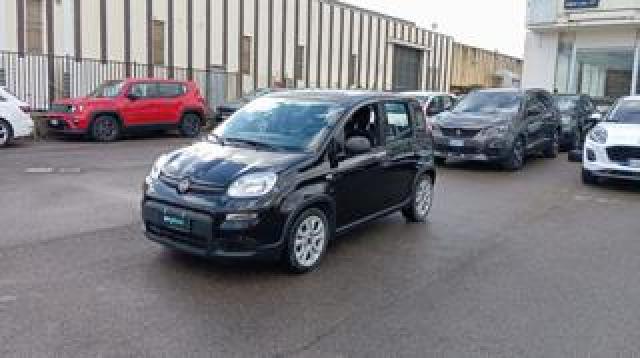 Fiat Panda *promo* 1.0 Firefly S&s Hybrid 