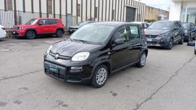 Fiat Panda *promo* 1.0 Firefly S&s Hybrid 