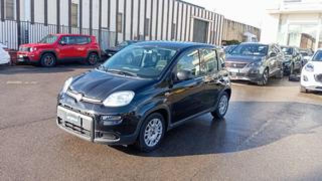 Fiat Panda *promo* 1.0 Firefly S&s Hybrid 