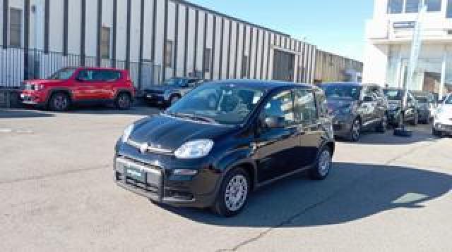 Fiat Panda *promo* 1.0 Firefly S&s Hybrid 