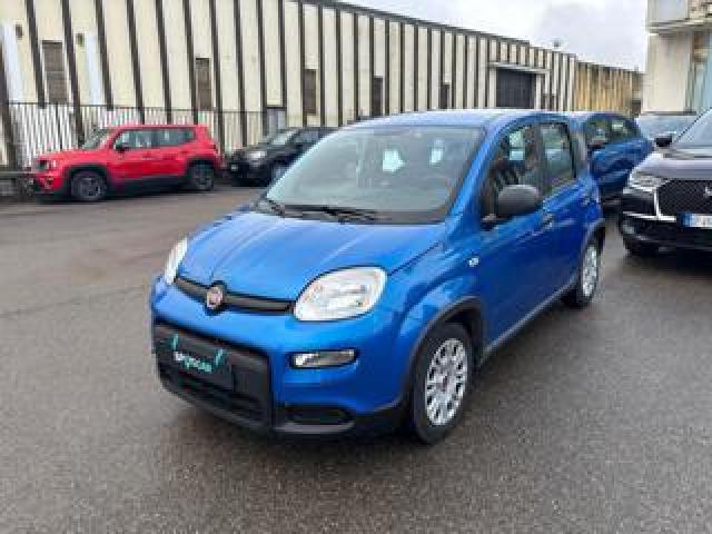 Fiat Panda *promo* 1.0 Firefly S&s Hybrid 