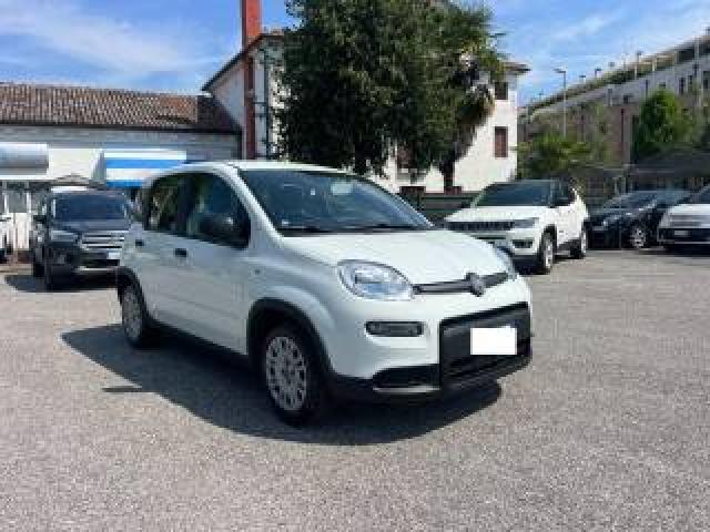 Fiat Panda 1.0 Firefly S&s Hybrid 70cv Unico Proprietario 