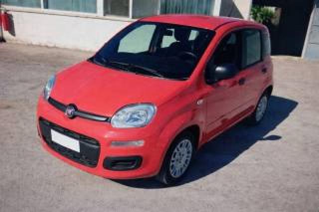 Fiat Panda 1.2 Easy *69 Cv * 4 Cilindri 
