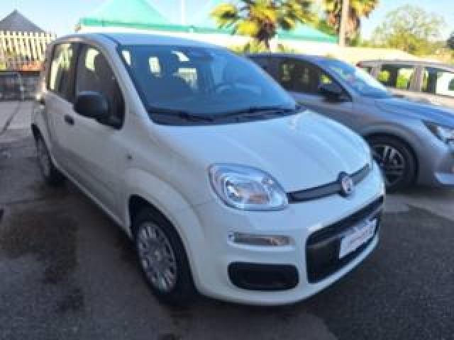 Fiat Pandina 1.0 Firefly 65 Cv Hybrid Icon *km 0* 