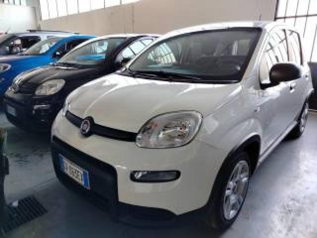 Fiat Panda 1.0 Firefly S&s Hybrid Km 2.000 