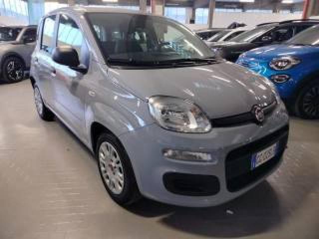 Fiat Panda 1.0 Firefly S&s Hybrid Km 13.000 