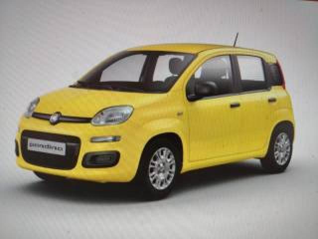 Fiat Panda 1.0 Firefly S&s Hybrid Pop Km0 