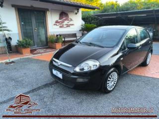 Fiat Punto Evo 1.2 Active Gpl! Tagliando E Distribuzione Ok 