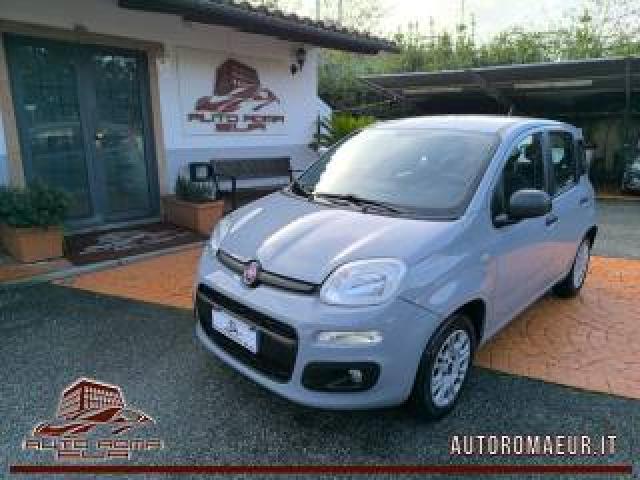 Fiat Panda 1.2 Easy Tagliando+distibuzione Ok! Gommata! 