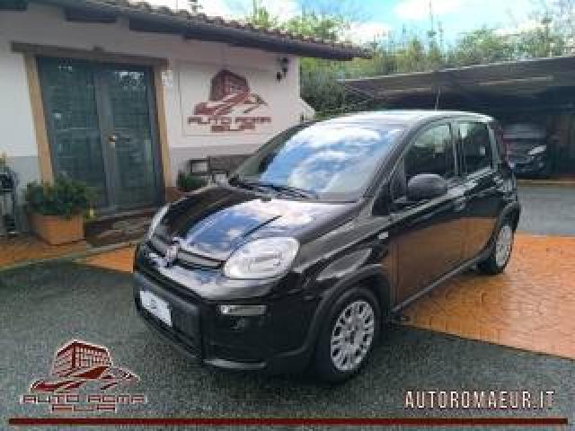 Fiat Panda 1.2 Easy Prezzo Reale! Gpl! Pronta Consegna! 
