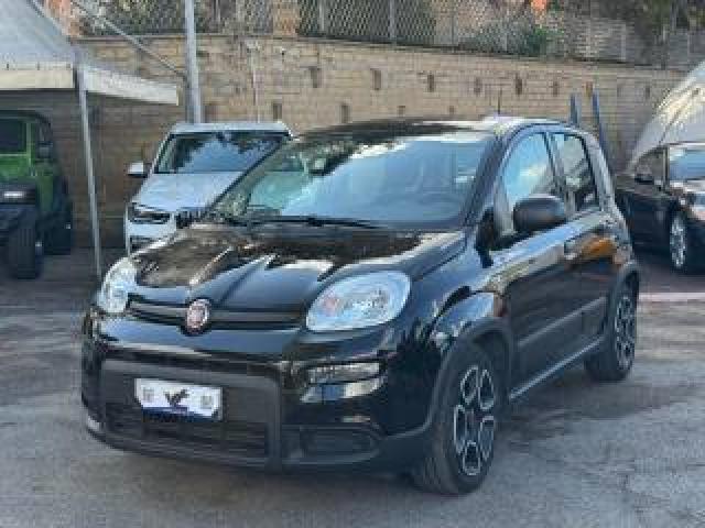 Fiat Panda 1.0 Firefly S&s Hybrid City Life *ok Neopatentati* 