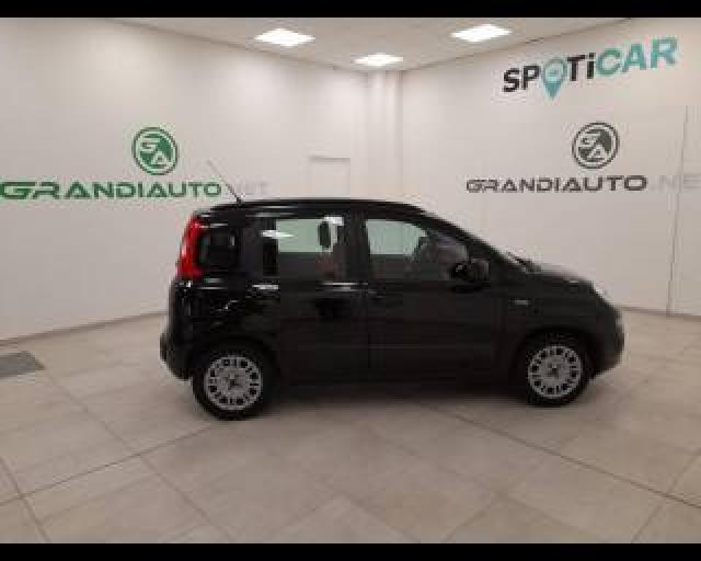 Fiat Panda Iii -  1.2 Easy 69cv E6 