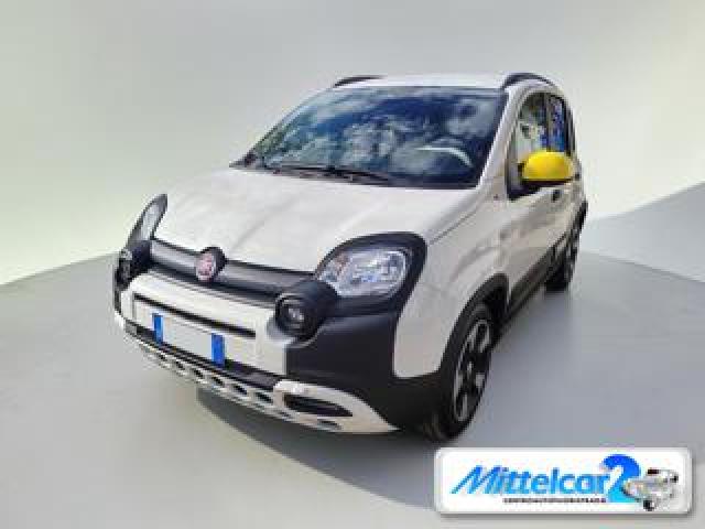 Fiat Panda Cross 1.0 Firefly S&s Hybrid 