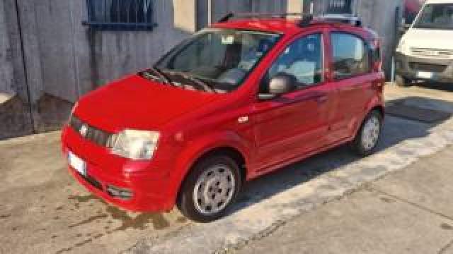 Fiat Panda 1.2 Active Gpl 