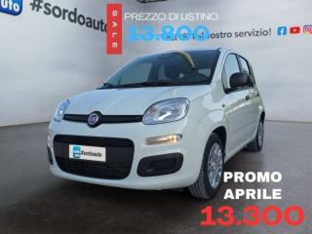 Fiat Pandina 1.0 Firefly 65 Cv Hybrid Icon 