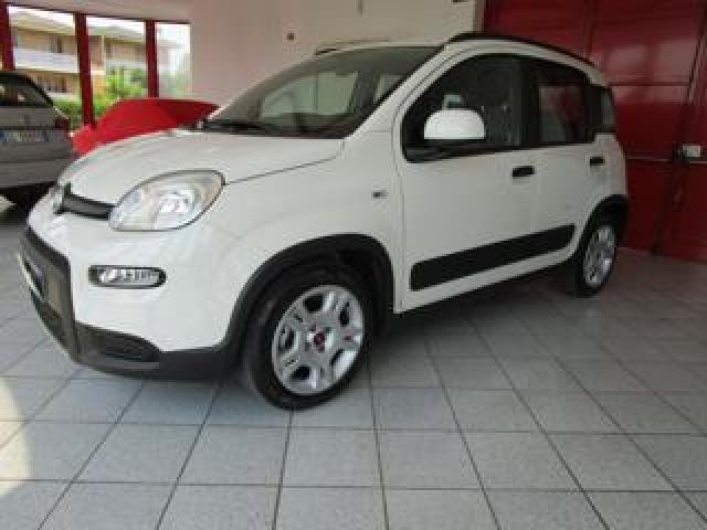 Fiat Panda 1.0 Firefly S&s Hybrid Red 