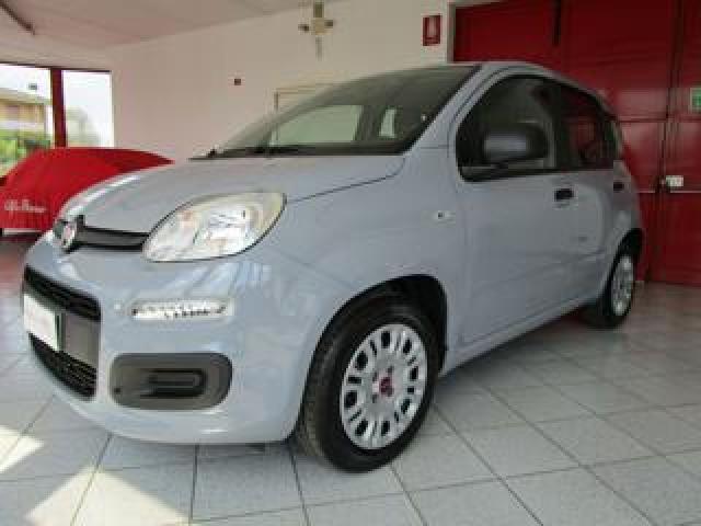 Fiat Panda 1.0  Hybrid  5posto City Life 