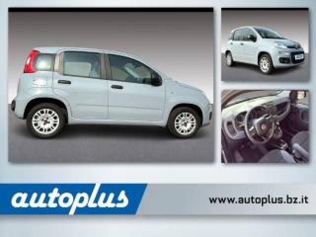 Fiat Panda 1,2 8v Easy 