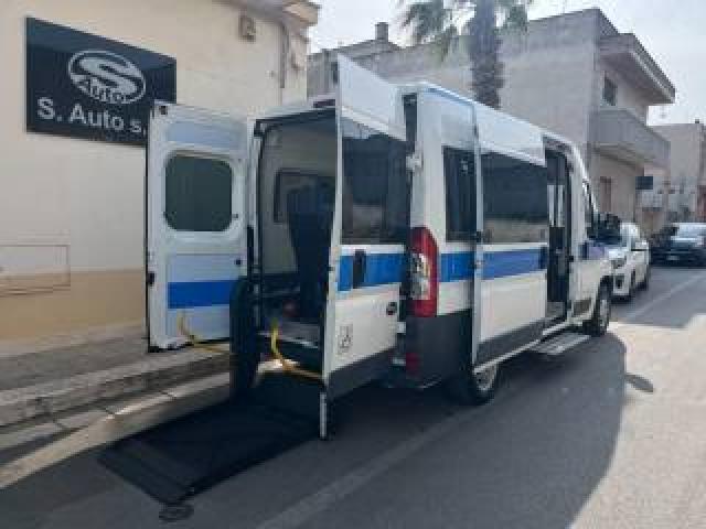 Fiat Ducato 2.3 Mjt 120cv All.disabili Con Pedana 