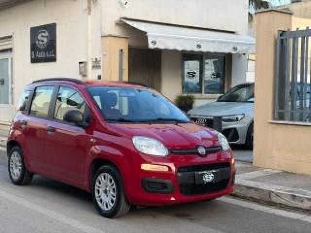Fiat Panda 1.2 69cv Lounge 