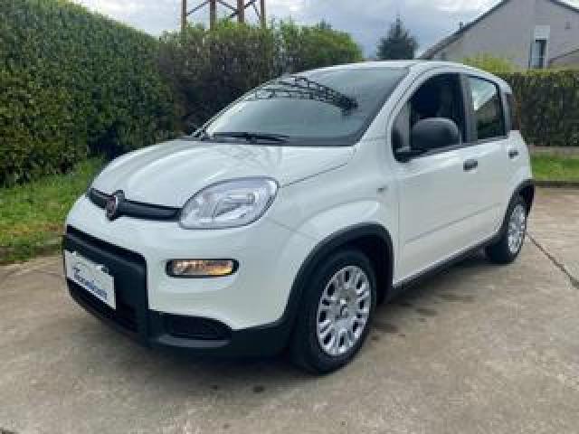 Fiat Panda Solo 4000 Km Hybrid City Life Ok Neopatentati 