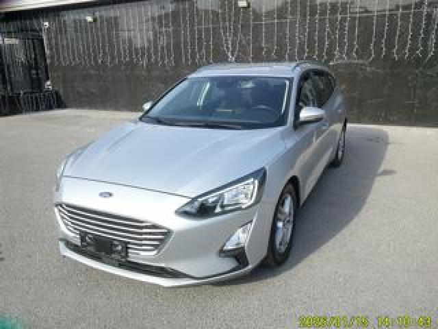 Ford Focus 1.5 Ecoblue 120 Cv Sw Business 