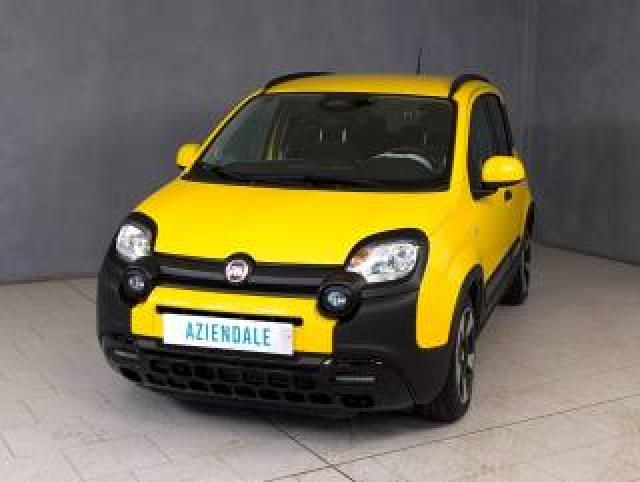 Fiat Panda Cross 1.0 Firefly S&s Hybrid 