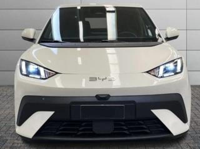 Byd Dolphin Surf Surf Active 88ccv Batteria 30kwh 
