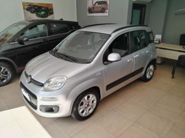 Fiat Panda 1.3 Mjt 95 Cv S&s Lounge 