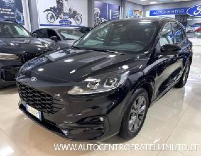 Ford Kuga 2.0 Ecoblue 120 Cv Aut. 2wd St-Line 