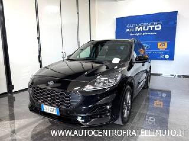Ford Kuga 2.0 Ecoblue 120 Cv Aut. 2wd St-Line 