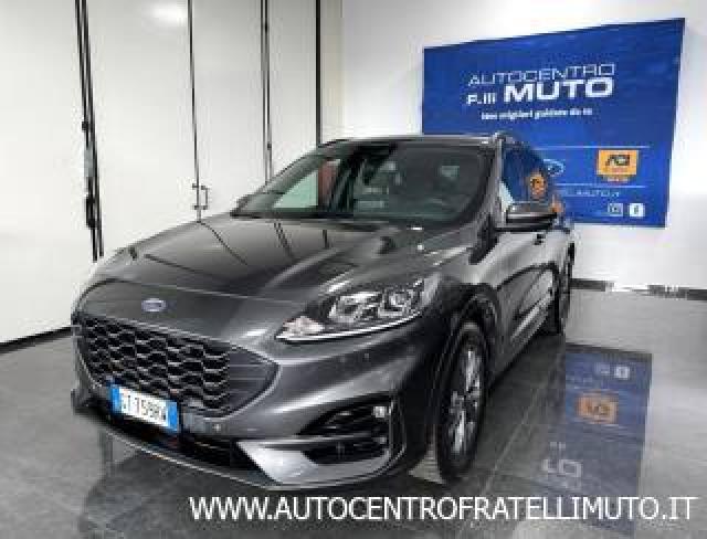 Ford Kuga 2.0 Ecoblue 120 Cv Aut. 2wd St-Line 
