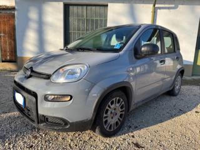 Fiat New Panda 1.0 Firefly S&s Hybrid 