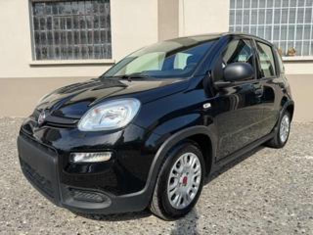 Fiat New Panda In Promozione!!!!!1.0 Firefly S&s Hybrid 