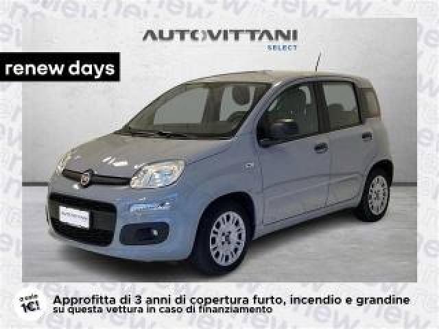 Fiat Panda 1.0 Firefly Hybrid City Life S&s 70cv 