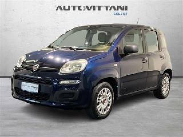 Fiat Panda 1.2 Easypower 69cv Lounge My19 