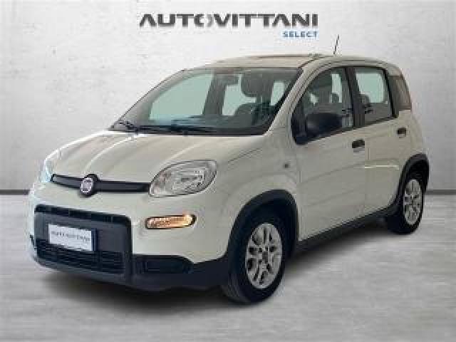 Fiat Panda 1.0 Firefly Hybrid 70cv City Life S&s 5p.ti 