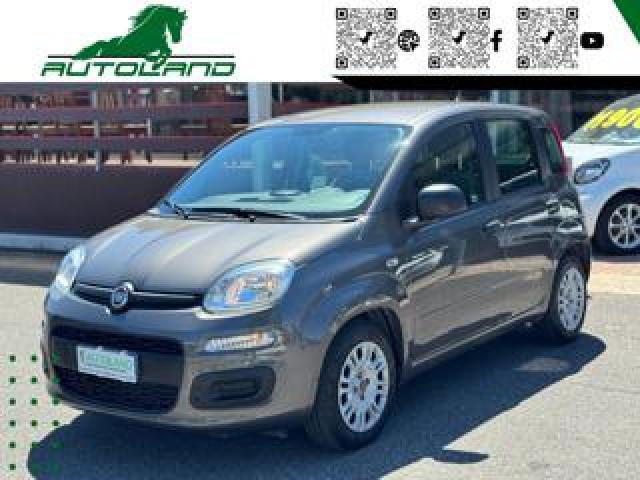 Fiat Panda 1.0 Firefly S&s Hybrid Sensori Parcheggio 