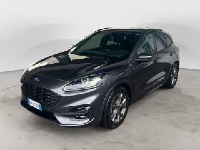 Ford Kuga Kuga 2.0 Ecoblue 120 Cv Aut. 2wd St-Line X 