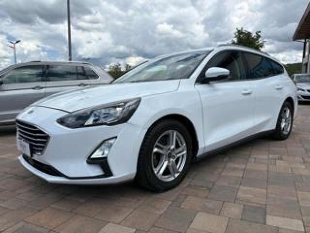 Ford Focus 1.5 Ecoblue 120 Cv Sw  
