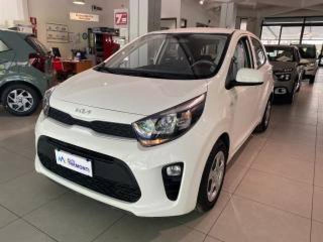 Kia Picanto 1.0 12v 5 Porte Urban 