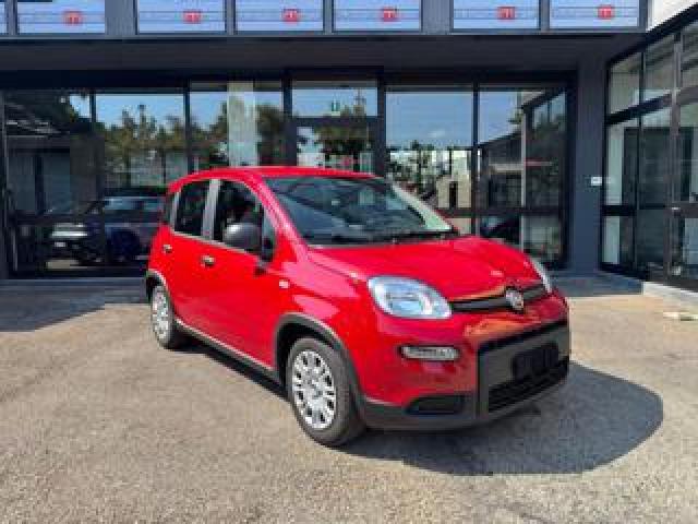 Fiat Panda 1.0 Firefly S&s Hybrid Pandina 
